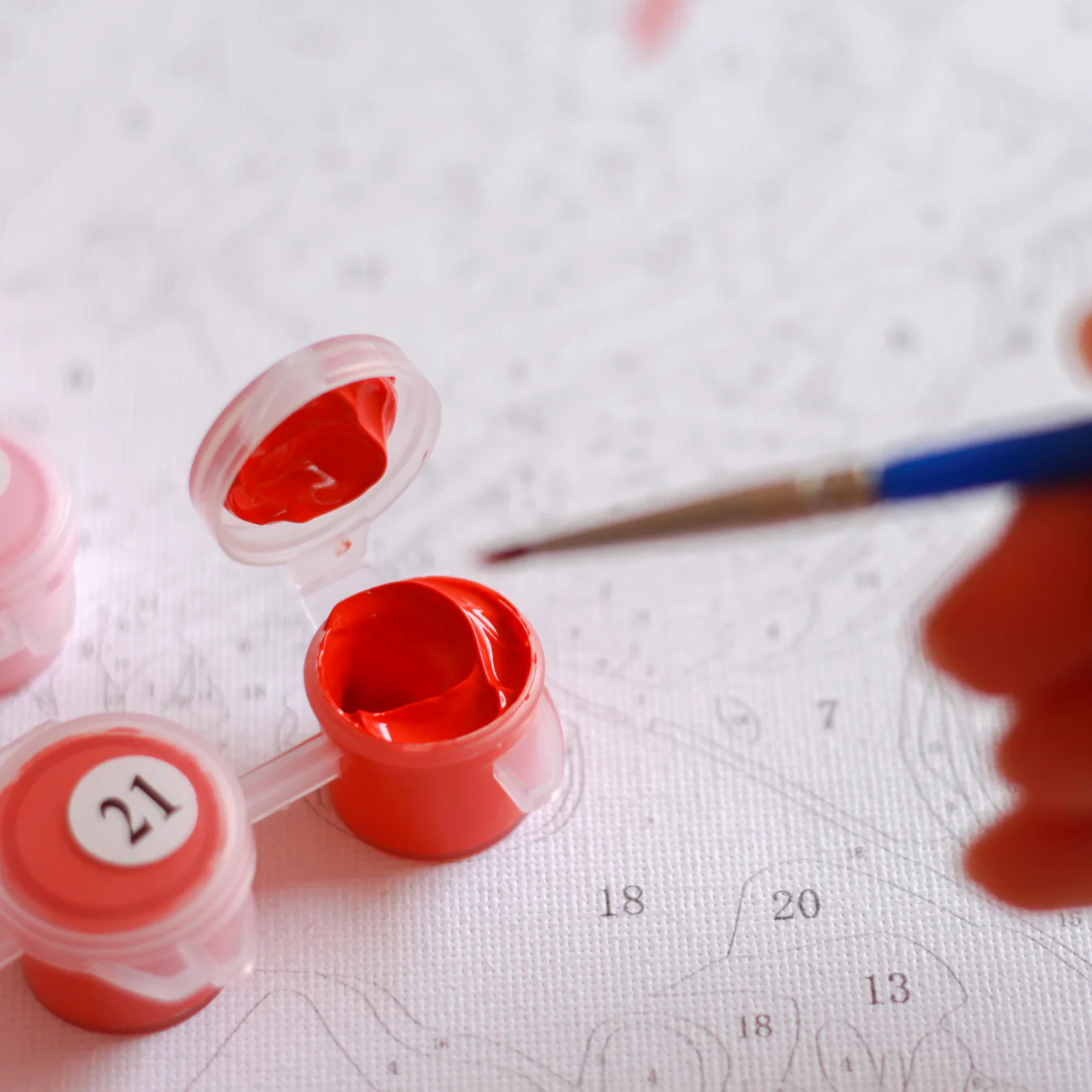 Frame Me I 40x50 Sayı İle Boyama