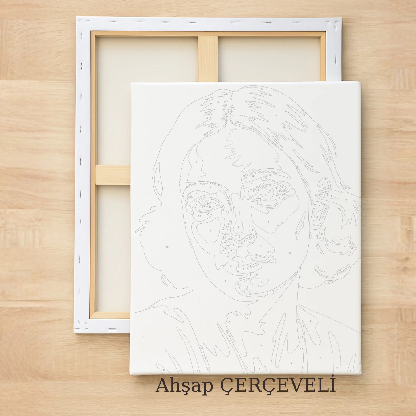 Frame Me I 40x50 Sayı İle Boyama