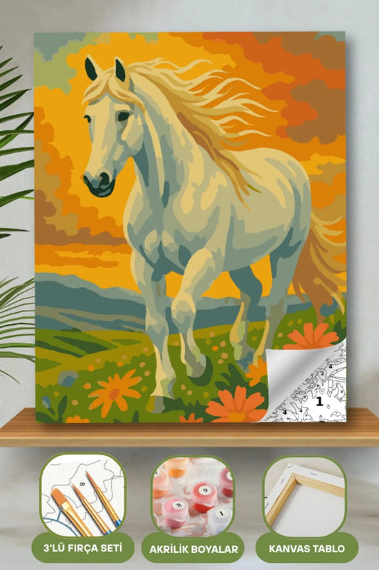 Frame Me I 40x50 Sayı İle Boyama