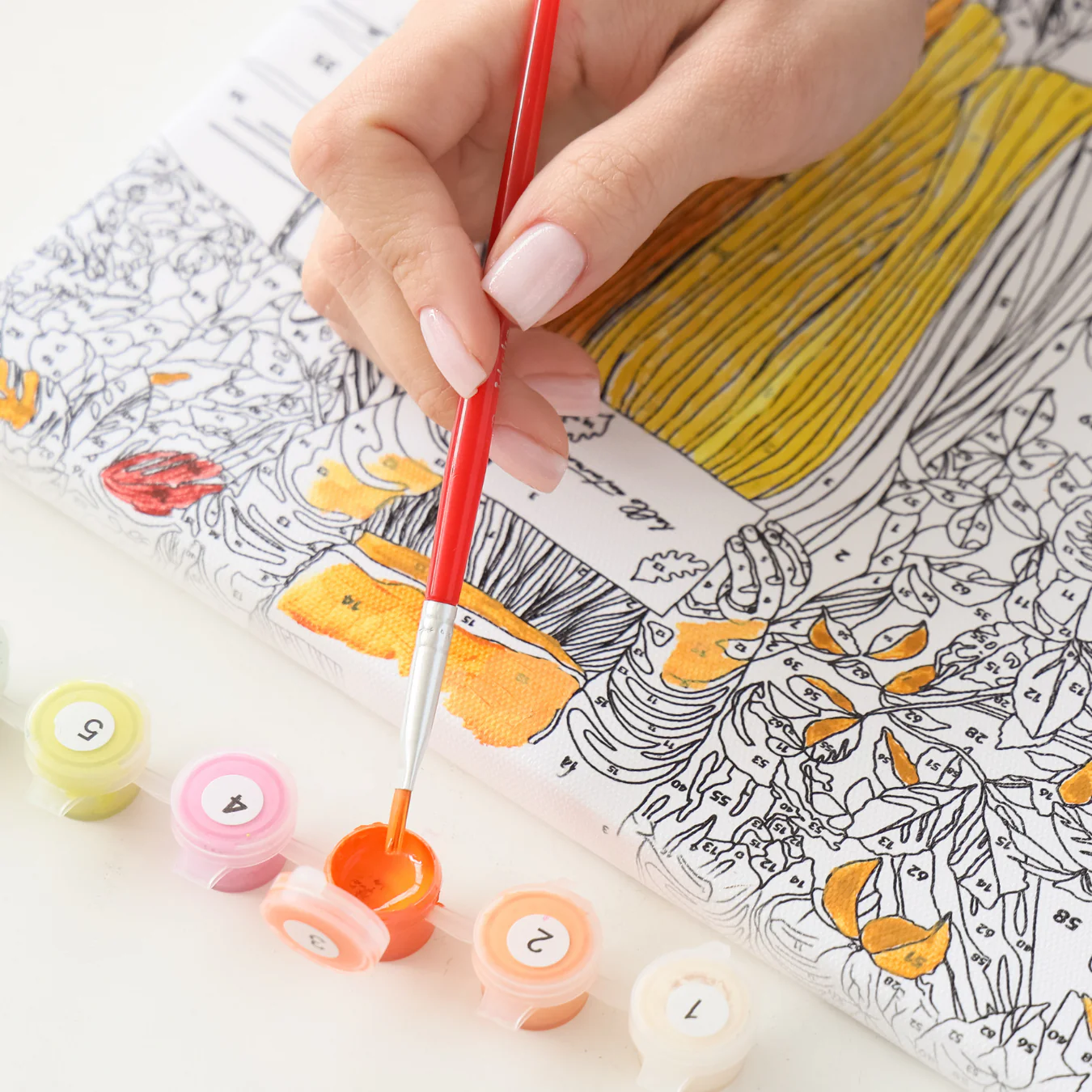 Frame Me I 40x50 Sayı İle Boyama