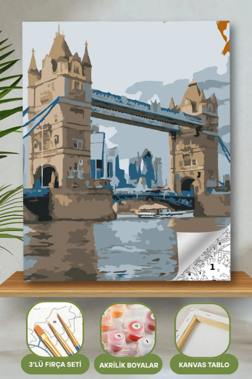 Frame Me I 40x50 Sayı İle Boyama